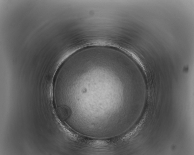 X0000095960839200801181443