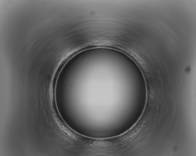 X0000095960840200801181443