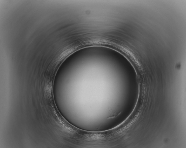 X0000095960841200801181443