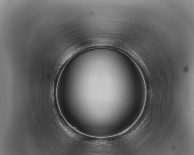 X0000095960842200801181443