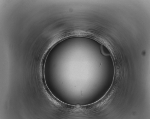 X0000095960843200801181443