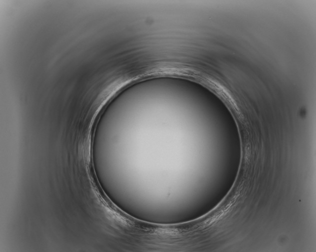 X0000095960844200801181443