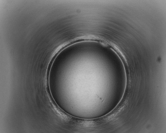 X0000095960845200801181443