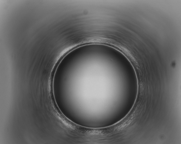 X0000095960846200801181443