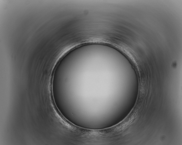 X0000095960847200801181443