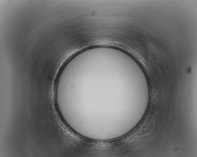 X0000095960848200801181443