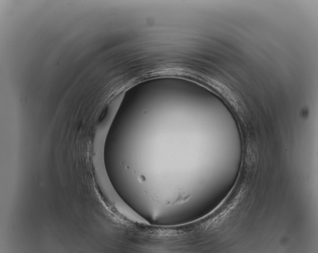 X0000095960849200801181443