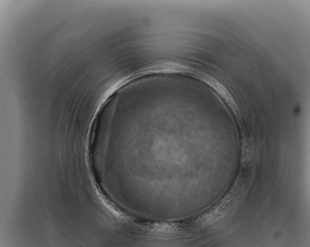 X0000095960850200801181443