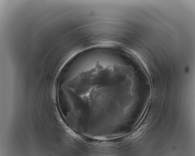 X0000095960851200801181443