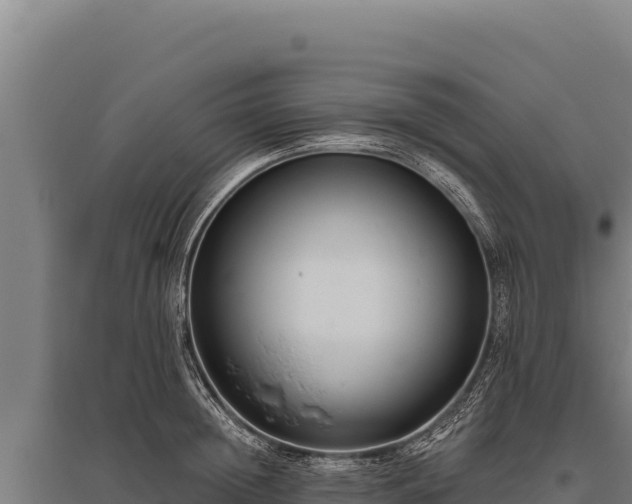 X0000095960852200801181443