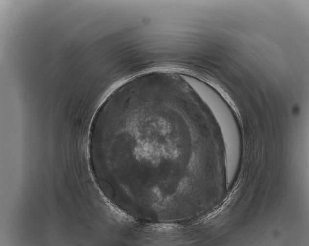 X0000095960853200801181443