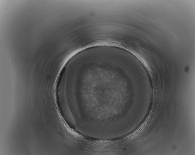 X0000095960854200801181443