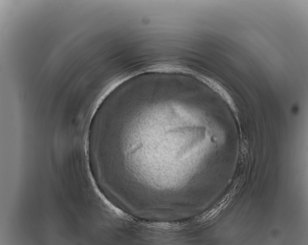 X0000095960855200801181443