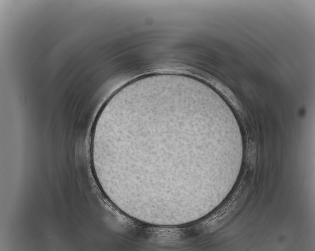 X0000095960856200801181443