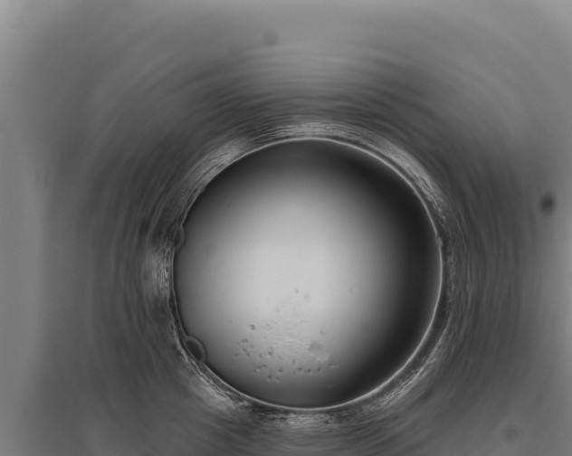 X0000095960857200801181443