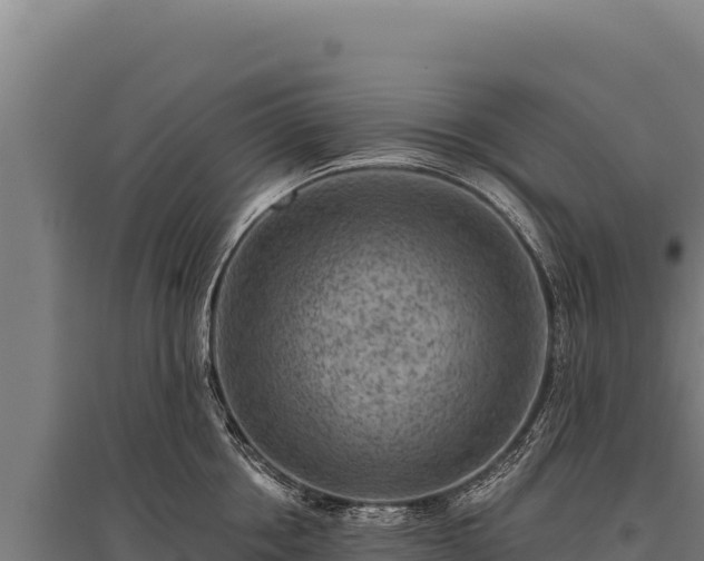 X0000095960858200801181443