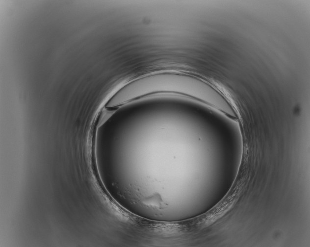 X0000095960859200801181443