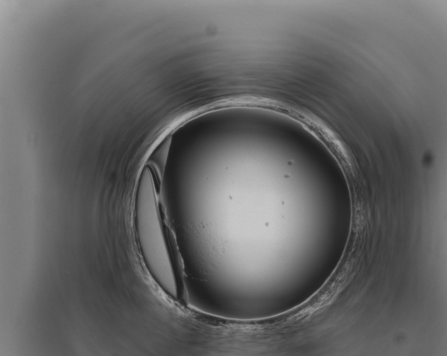 X0000095960860200801181443