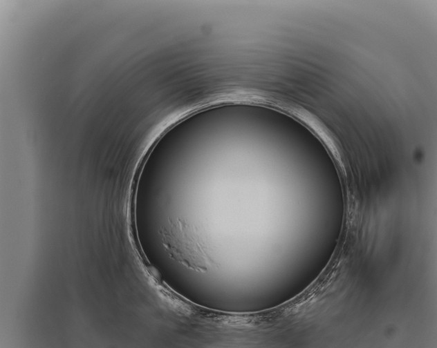 X0000095960861200801181443