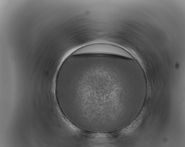 X0000095960862200801181443