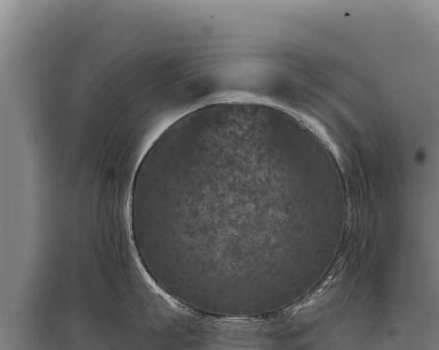 X0000095960863200801181443