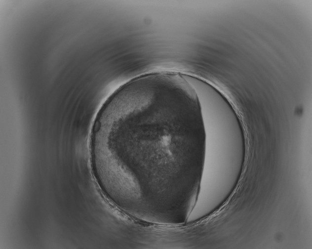 X0000095960864200801181443