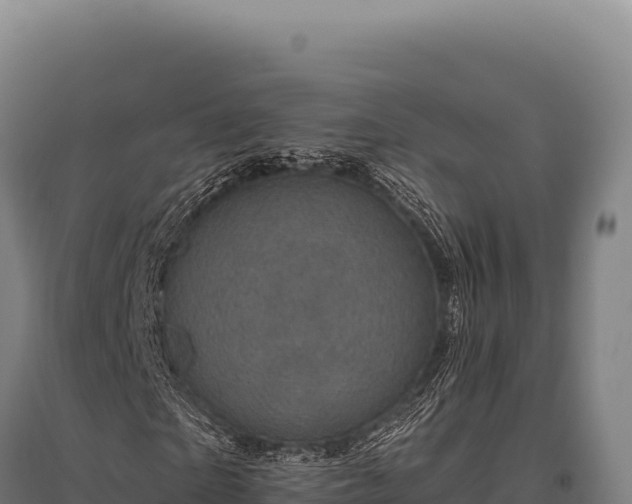 X0000095960865200801181442