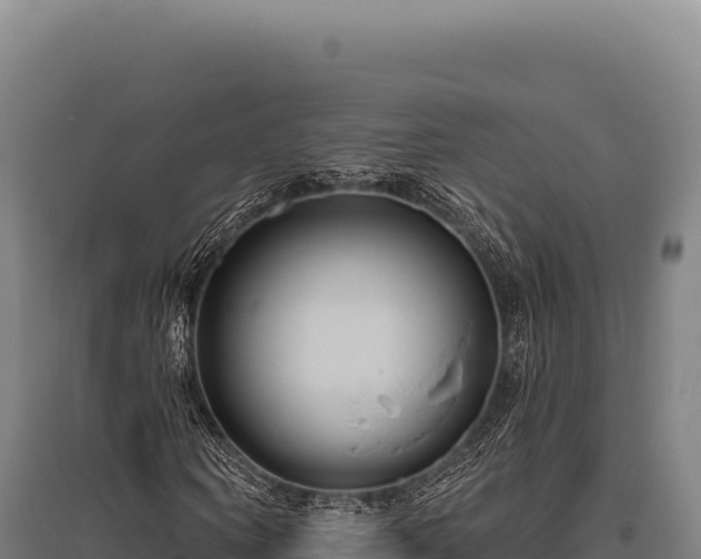 X0000095960866200801181442