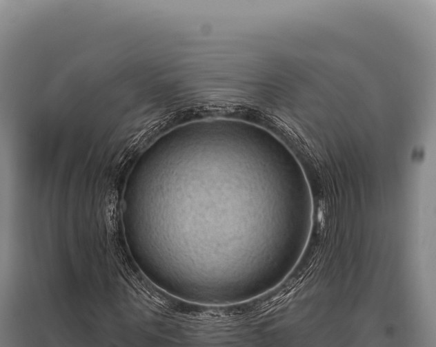 X0000095960867200801181442