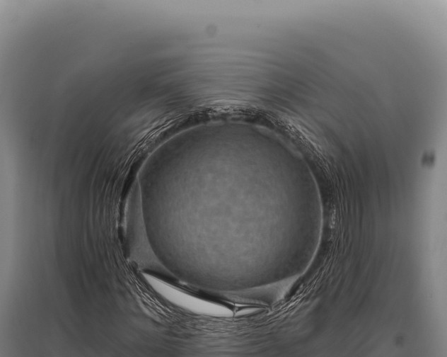 X0000095960868200801181442