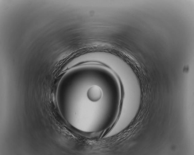 X0000095960869200801181442