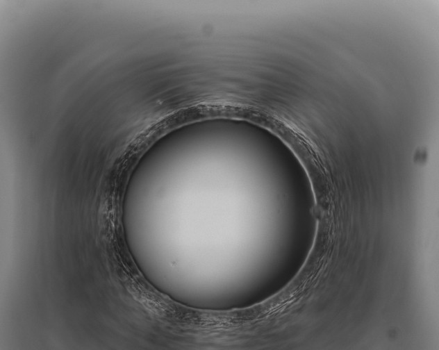 X0000095960870200801181442