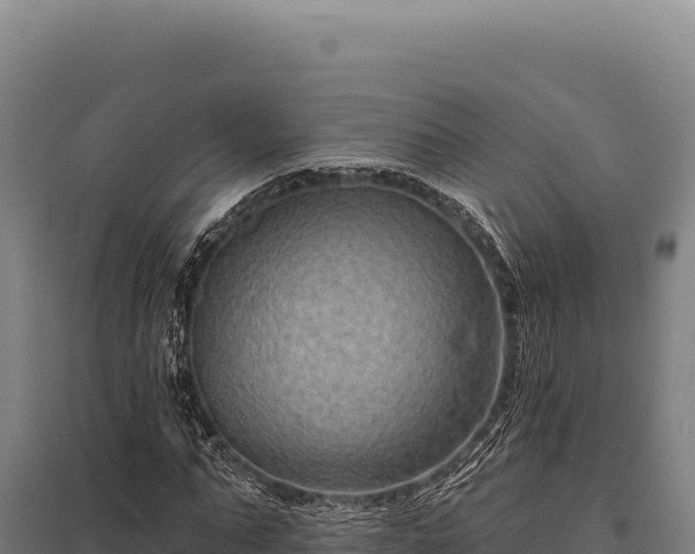 X0000095960871200801181442