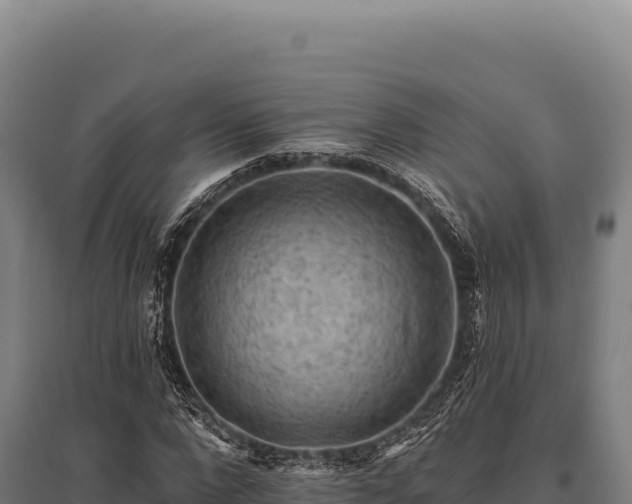 X0000095960872200801181442