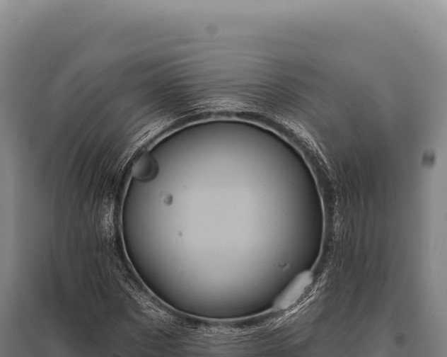 X0000095960873200801181442