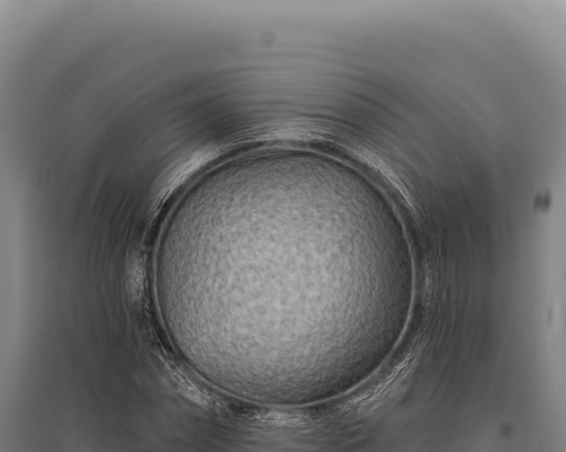 X0000095960874200801181442