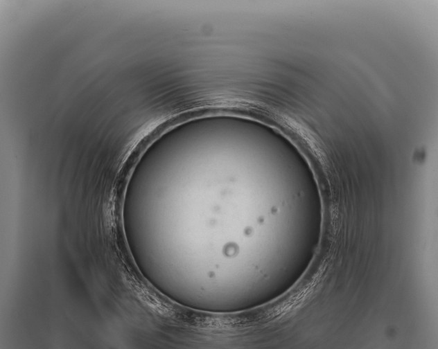 X0000095960875200801181442