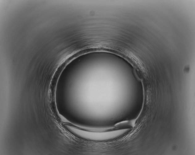 X0000095960876200801181442