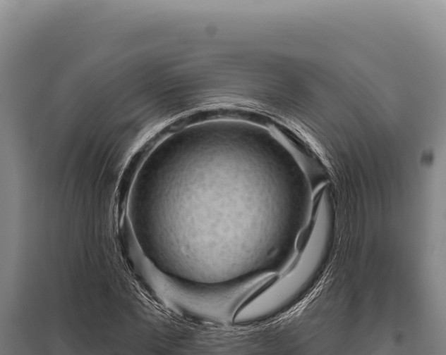 X0000095960877200801181442