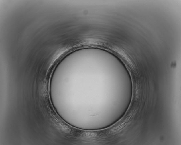 X0000095960878200801181442