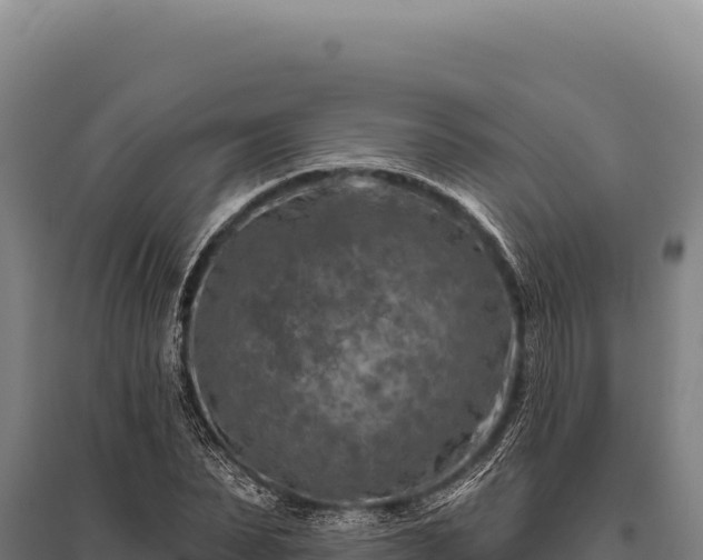 X0000095960879200801181442