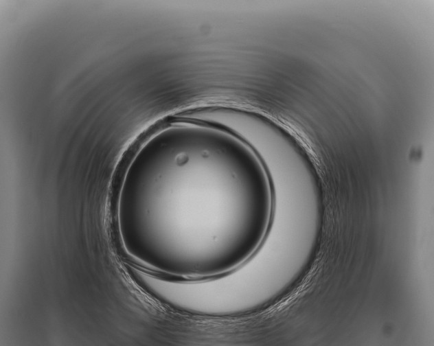 X0000095960880200801181442