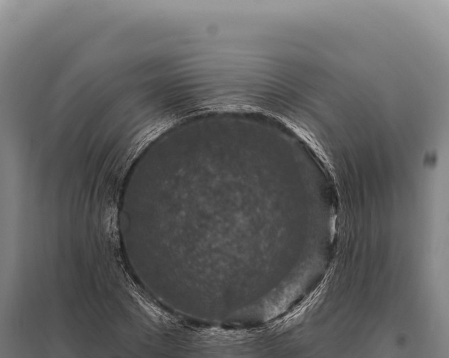 X0000095960881200801181442