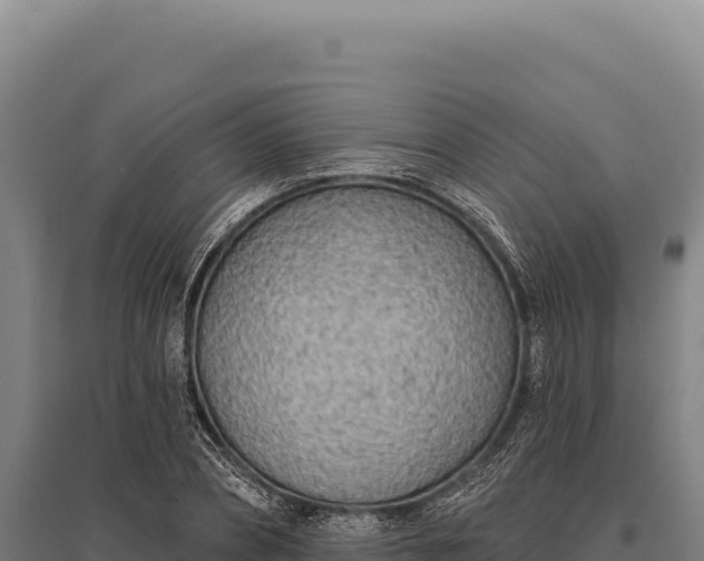 X0000095960882200801181442