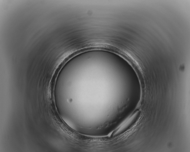 X0000095960883200801181442