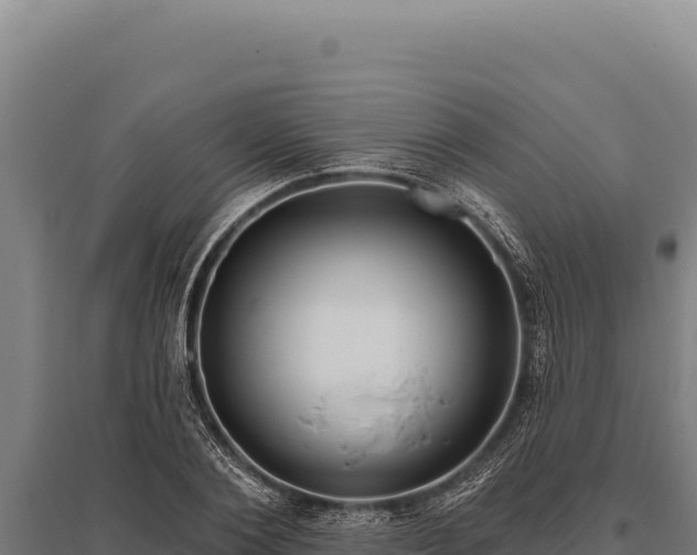 X0000095960884200801181442