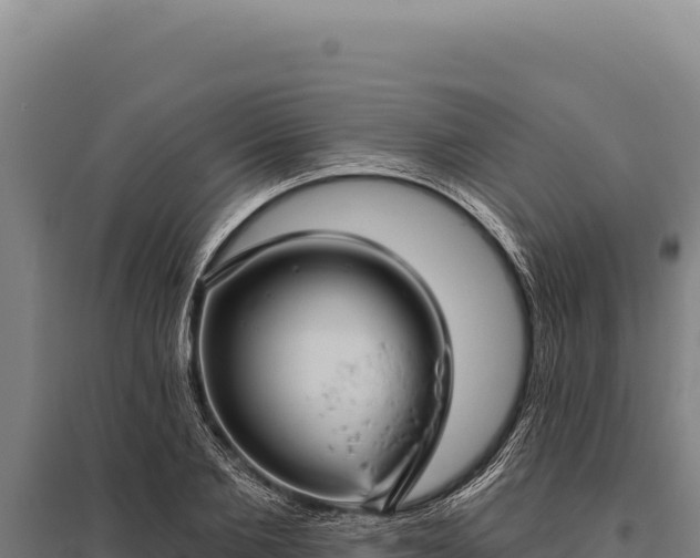 X0000095960885200801181442