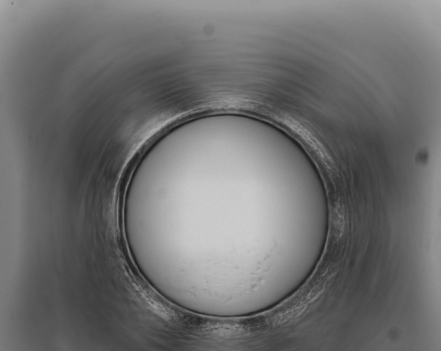 X0000095960886200801181442