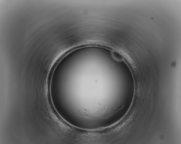 X0000095960888200801181442