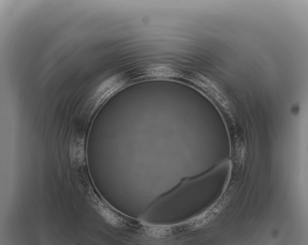 X0000095960889200801181442